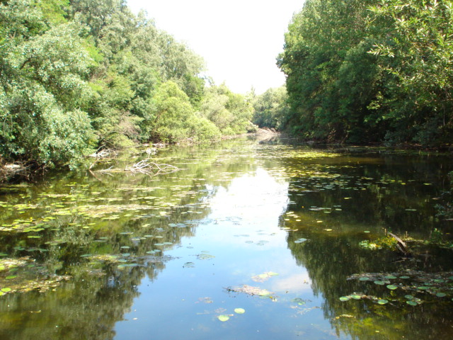 DSC00516.JPG
